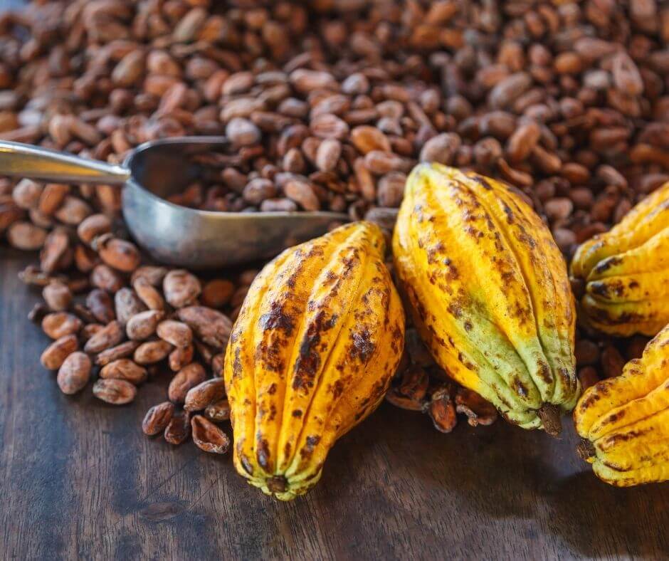 Cocoa beans - Melling & Associates Food and Beverage Consultants